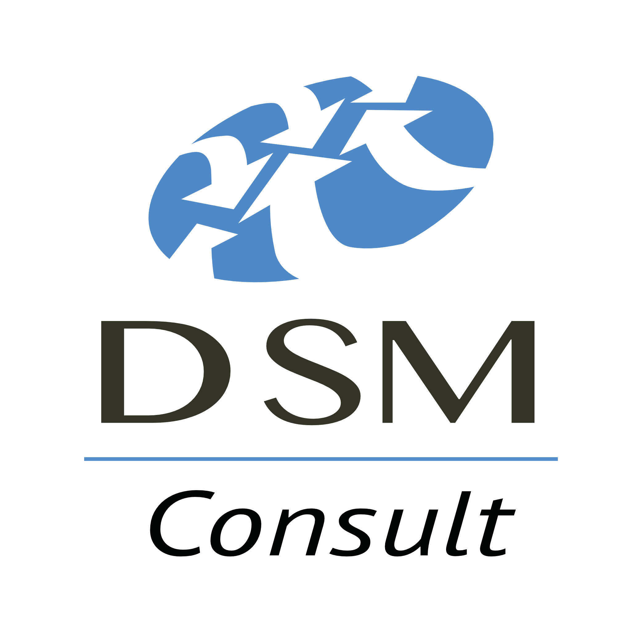 DSM-Consult-logo